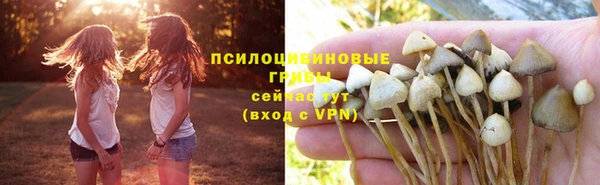 PSILOCYBIN Абинск