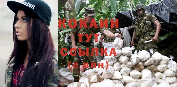 ГАЛЛЮЦИНОГЕННЫЕ ГРИБЫ Абаза