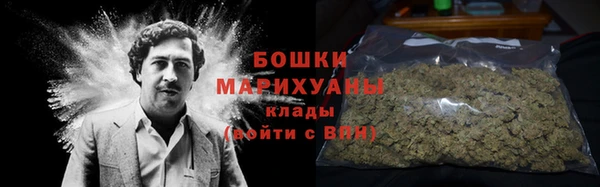 ГАЛЛЮЦИНОГЕННЫЕ ГРИБЫ Абаза