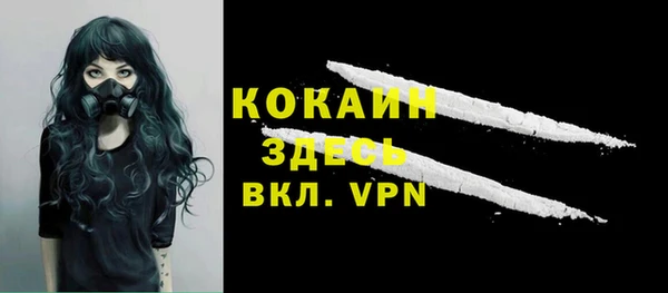стаф Гусев