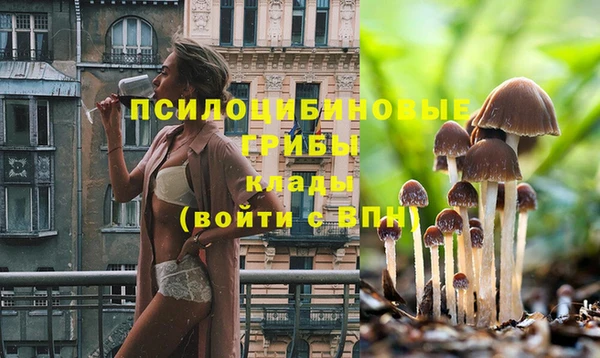 соль ск Абдулино