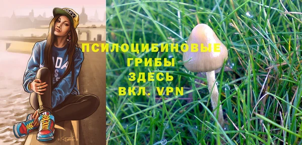 PSILOCYBIN Абинск