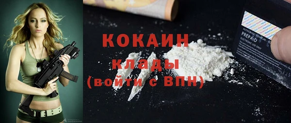 стаф Гусев