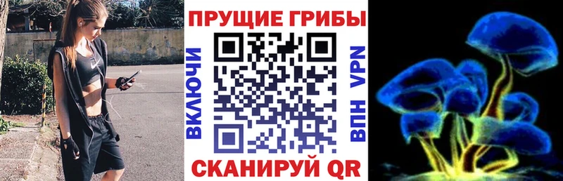 OMG как зайти  Шебекино  Галлюциногенные грибы ЛСД 